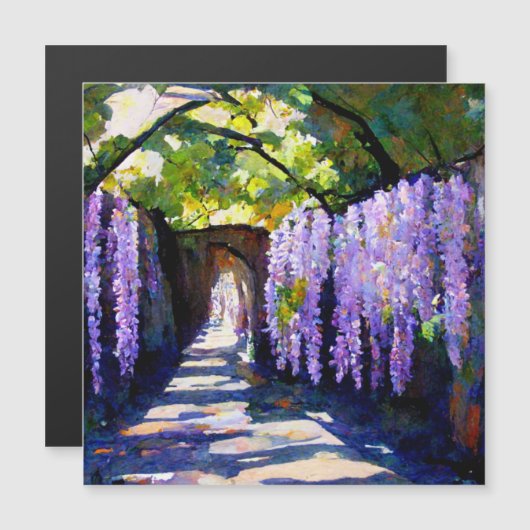 Wisteria-tunnel (Voorkant / Achterkant)