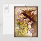 Wisteria Urbane Briefkaart (Voorkant / Achterkant)