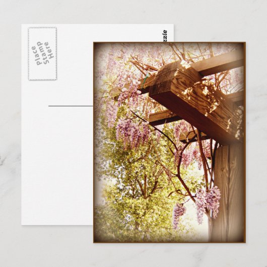 Wisteria Urbane Briefkaart (Voorkant / Achterkant)