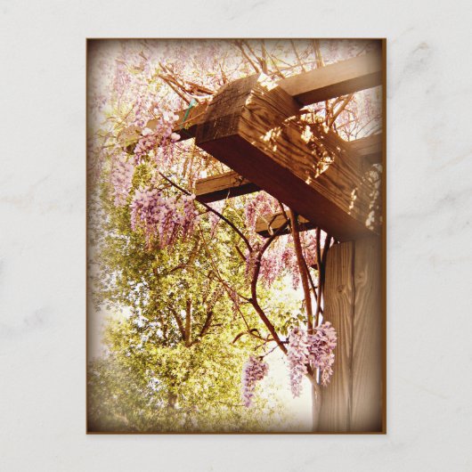 Wisteria Urbane Briefkaart (Voorkant)