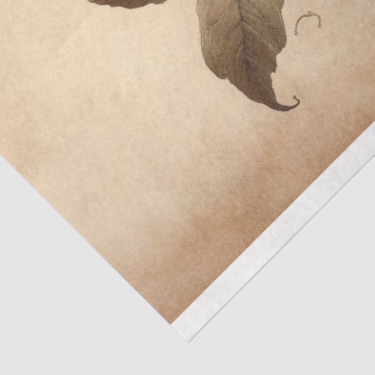 Wisteria Vine Roze Bloemen Decoupage Tissuepapier (Detail)