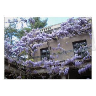 Wisteria Window
