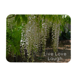 Wisteria Witte Tuin Bloemen Live Liefde Lach Magneet