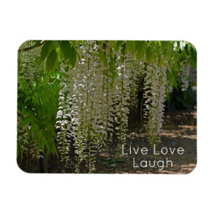 Wisteria Witte Tuin Bloemen Live Liefde Lach Magneet