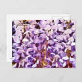WISTERIAALSTROMEN BRIEFKAART (Voorkant / Achterkant)
