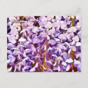 WISTERIAALSTROMEN BRIEFKAART