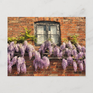 WISTERIAALSTROMEN BRIEFKAART