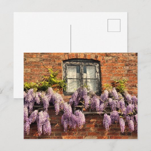 WISTERIAALSTROMEN BRIEFKAART (Voorkant / Achterkant)