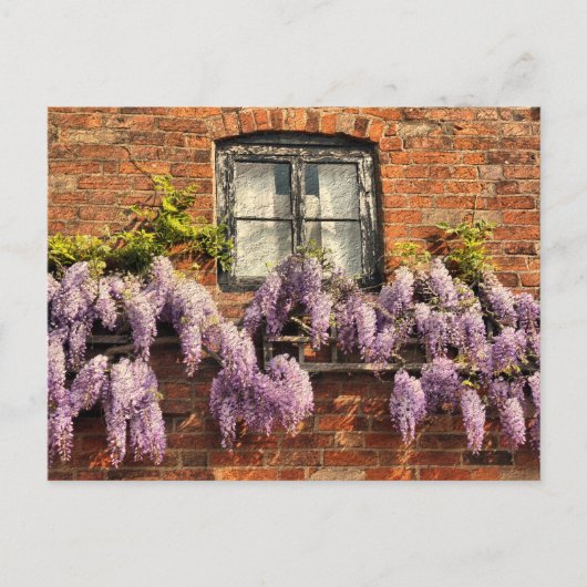 WISTERIAALSTROMEN BRIEFKAART (Voorkant)