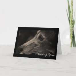 Wistful Greyhound Love  Kaart