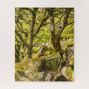 Wistman's Wood Dartmoor Devon England UK Legpuzzel