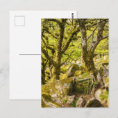 Wistman's Wood Dartmoor Devon England Verenigd Kon Briefkaart (Voorkant / Achterkant)