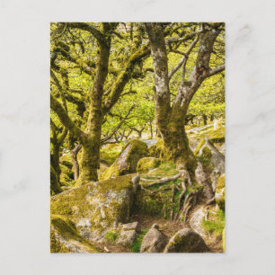 Wistman's Wood Dartmoor Devon England Verenigd Kon Briefkaart