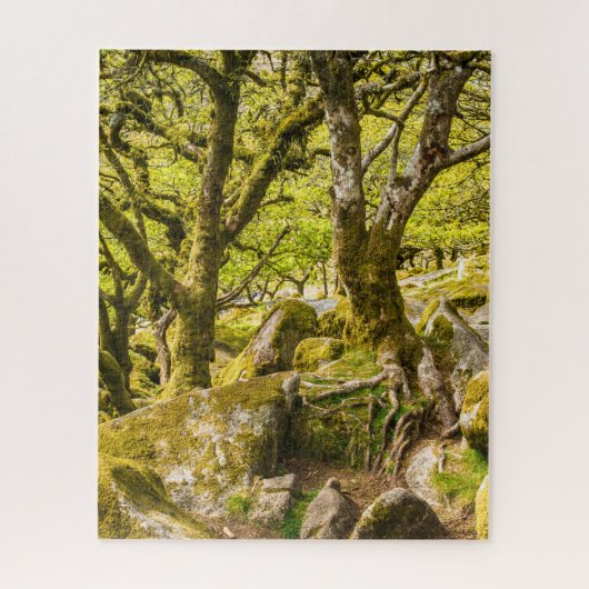 Wistman's Wood Dartmoor Devon England Verenigd Kon Legpuzzel (Verticaal)