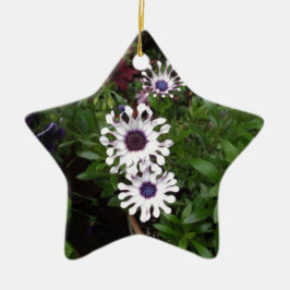 Wit Afrikaanse Madeliefje Keramisch Ornament