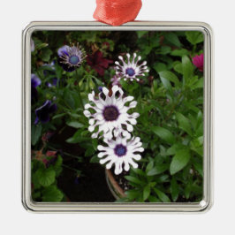 Wit Afrikaanse Madeliefje Metalen Ornament