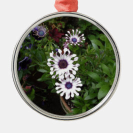 Wit Afrikaanse Madeliefje Metalen Ornament