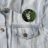 Wit Afrikaanse Madeliefje Ronde Button 5,7 Cm (In situ)