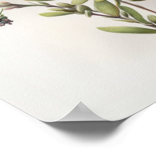 Wit Alyssum Bloemenkunst Print Poster (Hoek)