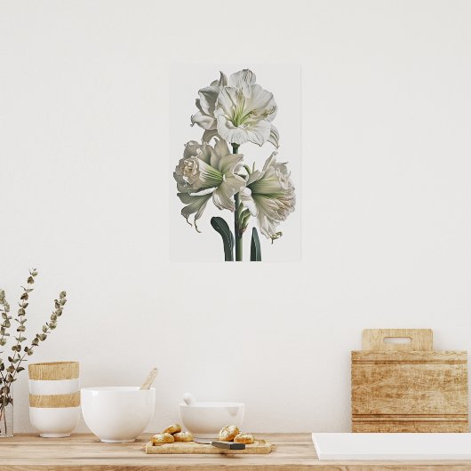 Wit Amaryllis Bloemenkunst Print Poster (Keuken)