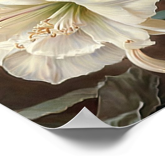 Wit Amaryllis Bloemenkunst Print Poster (Hoek)