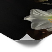 Wit Amaryllis Flowers Art Print Poster (Hoek)