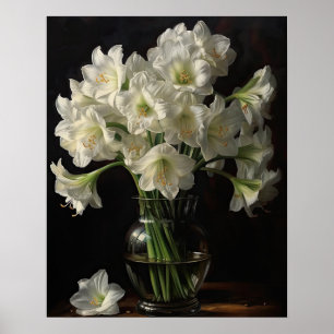 Wit Amaryllis Flowers Art Print Poster