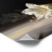 Wit Amaryllis Flowers Art Print Poster (Hoek)