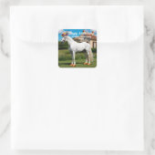 Wit Arabisch Paard met pet en klompen Vierkante Sticker (Tas)