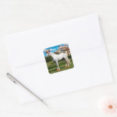 Wit Arabisch Paard met pet en klompen Vierkante Sticker (Envelop)