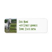 Wit Arabisch Paard retour adreslabel Etiket (Voorkant)