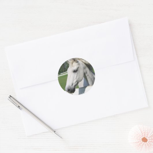 Wit Arabisch Paard Sticker (Envelop)