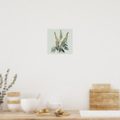 Wit Astilbe Bloem Art Print Poster (Keuken)