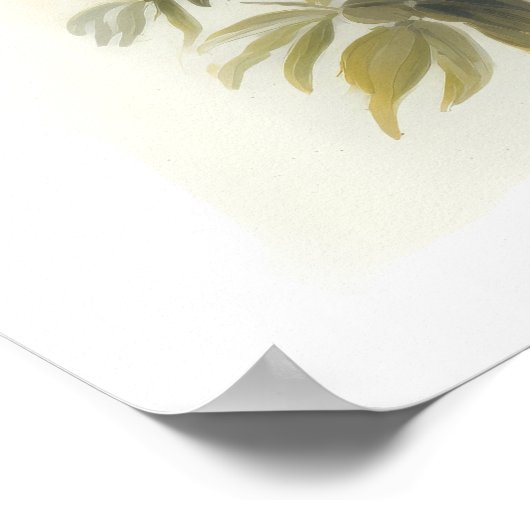 Wit Astilbe Bloem Art Print Poster (Hoek)