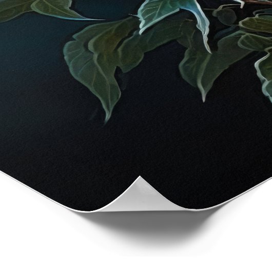 Wit Astilbe Bloem Art Print Poster (Hoek)