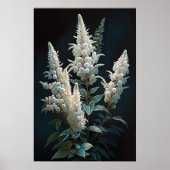 Wit Astilbe Bloem Art Print Poster (Voorkant)