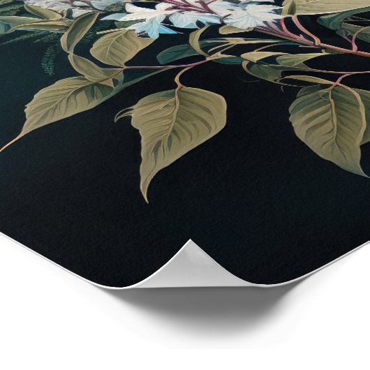 Wit Astilbe Bloem Art Print Poster (Hoek)