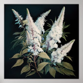 Wit Astilbe Bloem Art Print Poster (Voorkant)