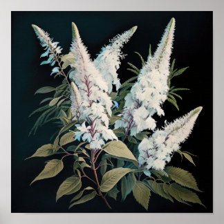 Wit Astilbe Bloem Art Print Poster