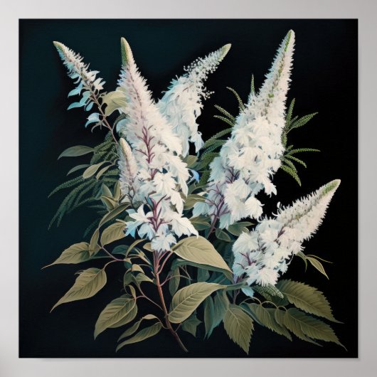 Wit Astilbe Bloem Art Print Poster (Voorkant)