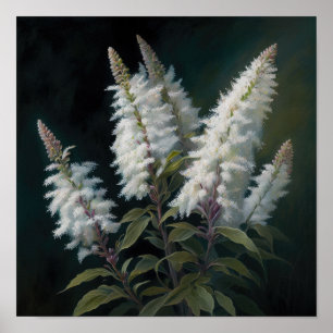 Wit Astilbe Bloem Art Print Poster