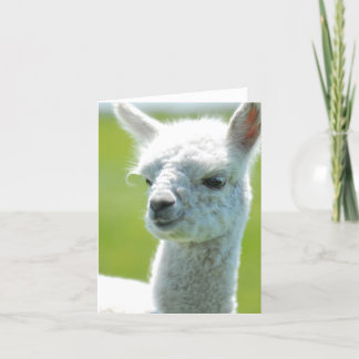 Wit babymeisje kaart