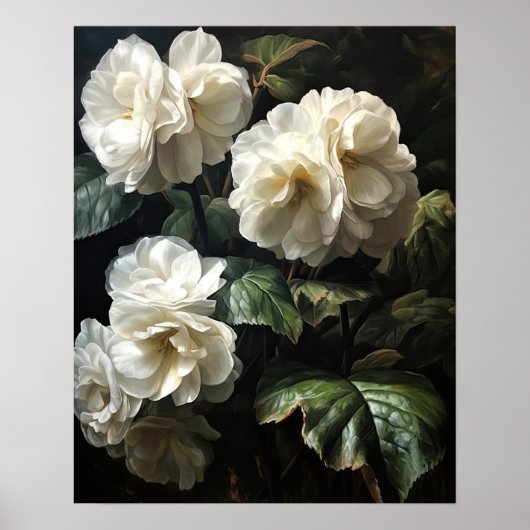 Wit Begonia Flowers Art Print Poster (Voorkant)