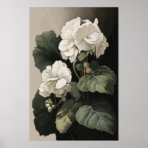 Wit Begonia's Bloemenkunst Print Poster