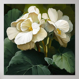 Wit Begonia's Bloemenkunst Print Poster