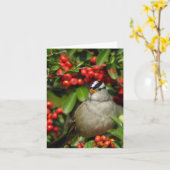 Wit-bekroonde Mus • Joe Sweeney - kaart (Gele Bloem)