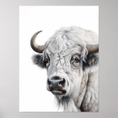 Wit Bizon Buffalo Aquarel Kunst Poster (Voorkant)