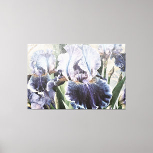 *~* Wit Blauw IRIS Irissen  Bloemen TV2 Canvas Afdruk