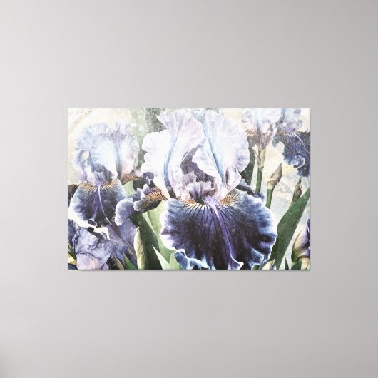 *~* Wit Blauw IRIS Irissen  Bloemen TV2 Canvas Afdruk (Voorkant)