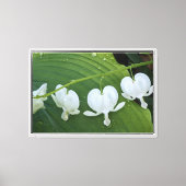 Wit Bloedend Hart Bloemig Canvas Afdruk (Voorkant)